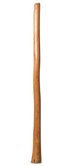 Gloss Finish Flared Didgeridoo (TW985)